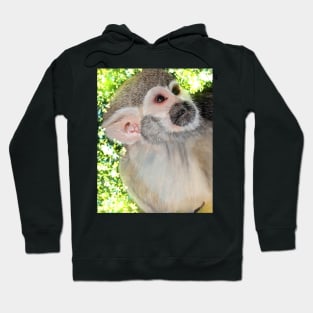 Monkey Hoodie